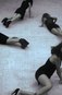Майя Ива, из серии «Closer №9», «FABRIKA art group»