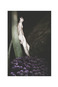 Солоп Ярослав, “In Memory of Hyacinth”