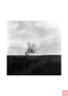 Марина Полякова, “A tree”