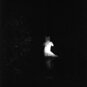 Полякова Марина, “In the night #2”